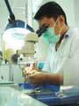 Microscope