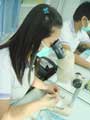 Lab Technology