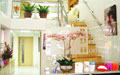Bangkok Dental Home, Dental Hospital