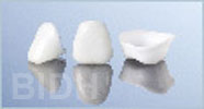 procera crowns