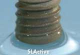 slactive surface